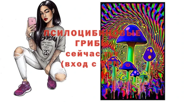 хмурый Абинск