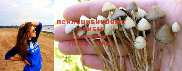 СК Надым