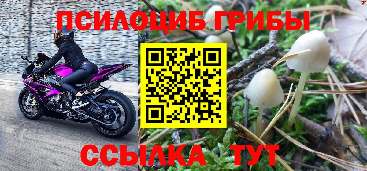 Псилоцибиновые грибы ЛСД Липецк
